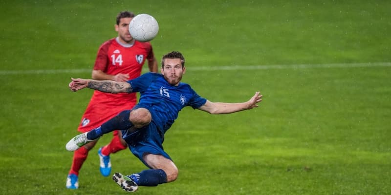Cá cược sports 7m