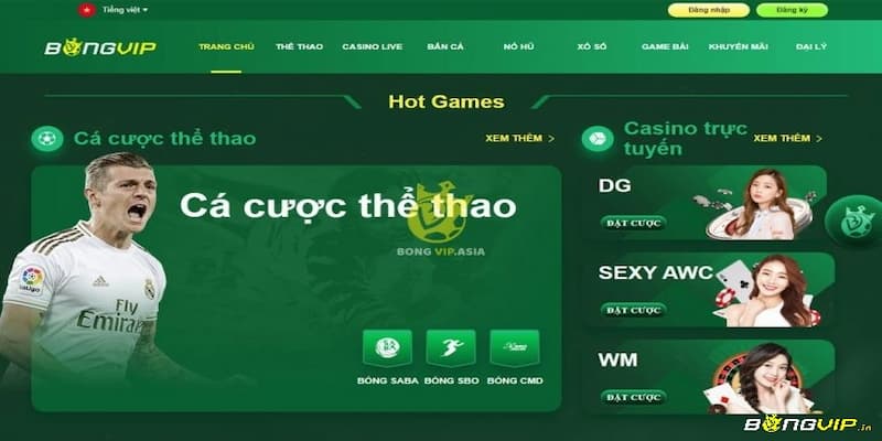 Bongvip - Địa Điểm Lý Tưởng Không Thể Bỏ Qua Nếu Yêu Bóng Đá